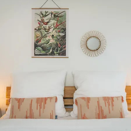 Kamingo - 2 Apartments, Zentral Mit Gemeinsamer Terrasse, Max 12 Pers Frankenberg an der Eder