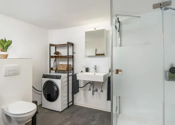 Kamingo - 2 Apartments, Zentral Mit Gemeinsamer Terrasse, Max 12 Pers Франкенберг