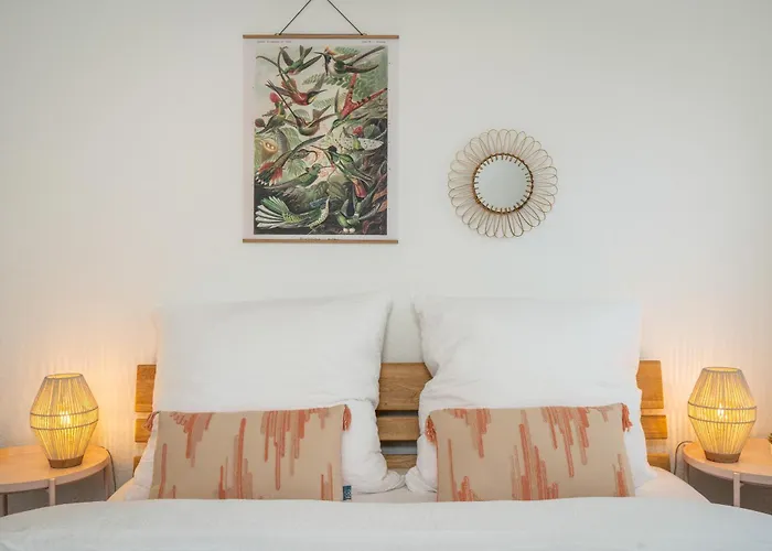 Kamingo - 2 Apartments, Zentral Mit Gemeinsamer Terrasse, Max 12 Pers Франкенберг