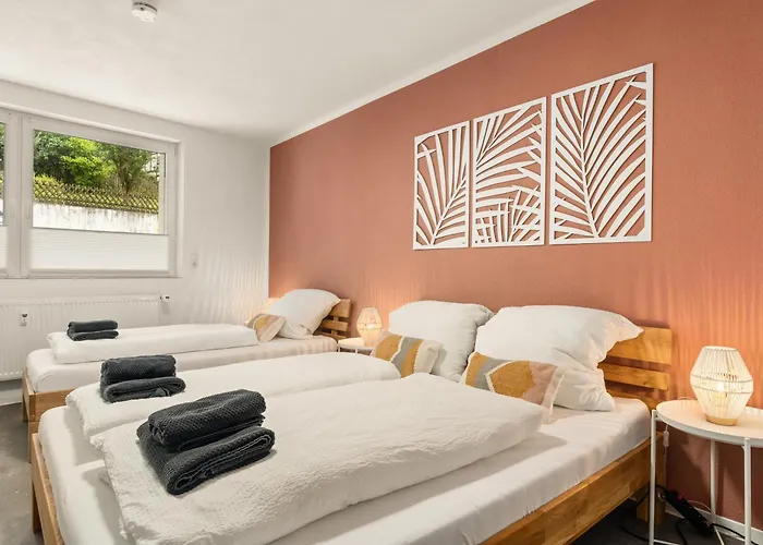 Дом отдыха Kamingo - 2 Apartments, Zentral Mit Gemeinsamer Terrasse, Max 12 Pers Франкенберг